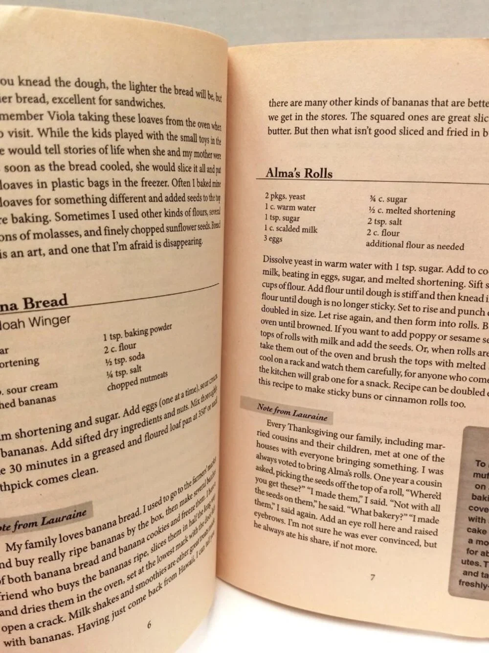 Ingeborg Bjorklund's Red River Cookbook Favorite Recipes Lauraine Snelling